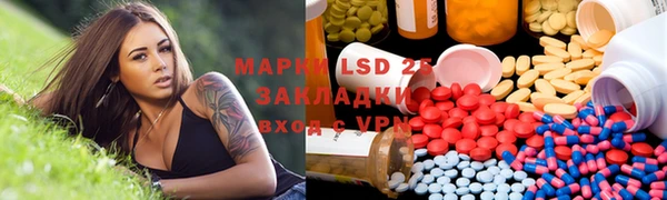 прущие грибы Инсар