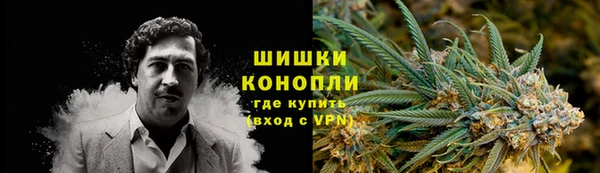 прущие грибы Инсар