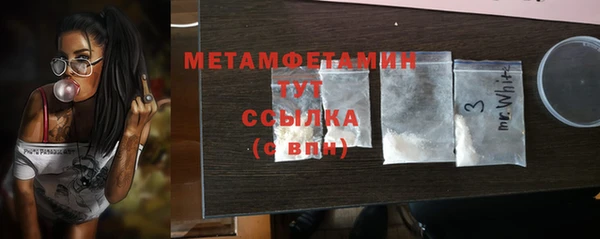 прущие грибы Инсар