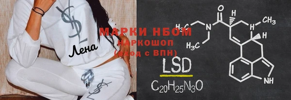прущие грибы Инсар