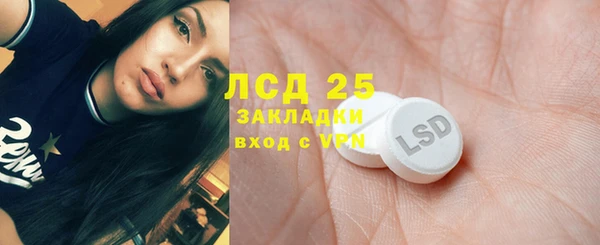 прущие грибы Инсар