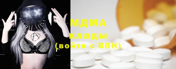 прущие грибы Инсар