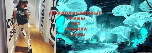 прущие грибы Инсар