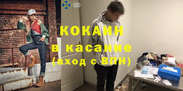 прущие грибы Инсар