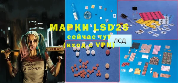 прущие грибы Инсар