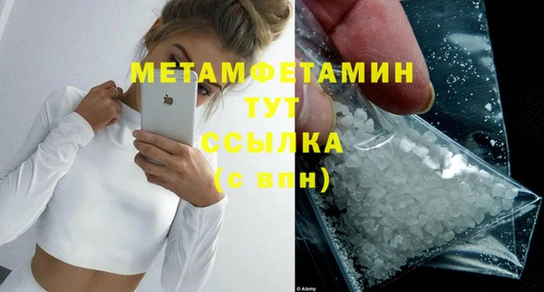 прущие грибы Инсар