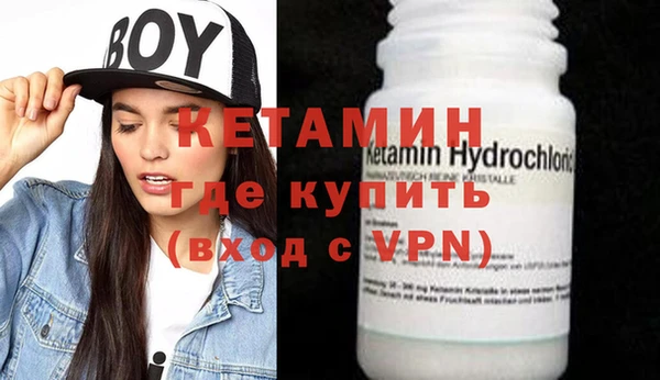 прущие грибы Инсар
