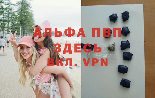 прущие грибы Инсар