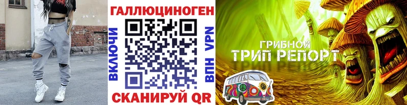 Купить где  Вичуга  Псилоцибиновые грибы прущие грибы 